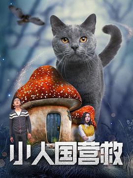 艹逼小视频