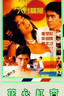 精品二区