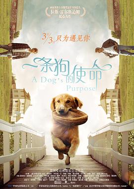 国产精品福利网