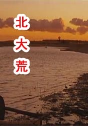 99久久99久久精品免费看蜜桃
