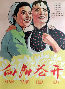 99国产精品免费观看视频re